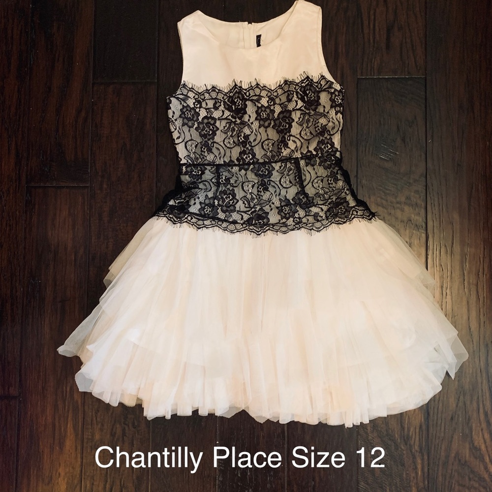 Chantilly Place Lace Cascade Dress (Size 12)